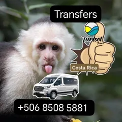 Turisol Tours on Facebook